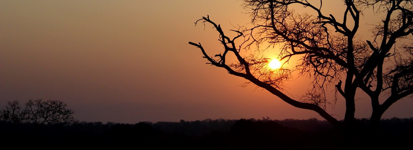 Africa - Sunset